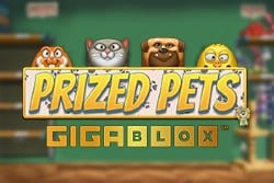 Prized Pets Gigablox Game Logo